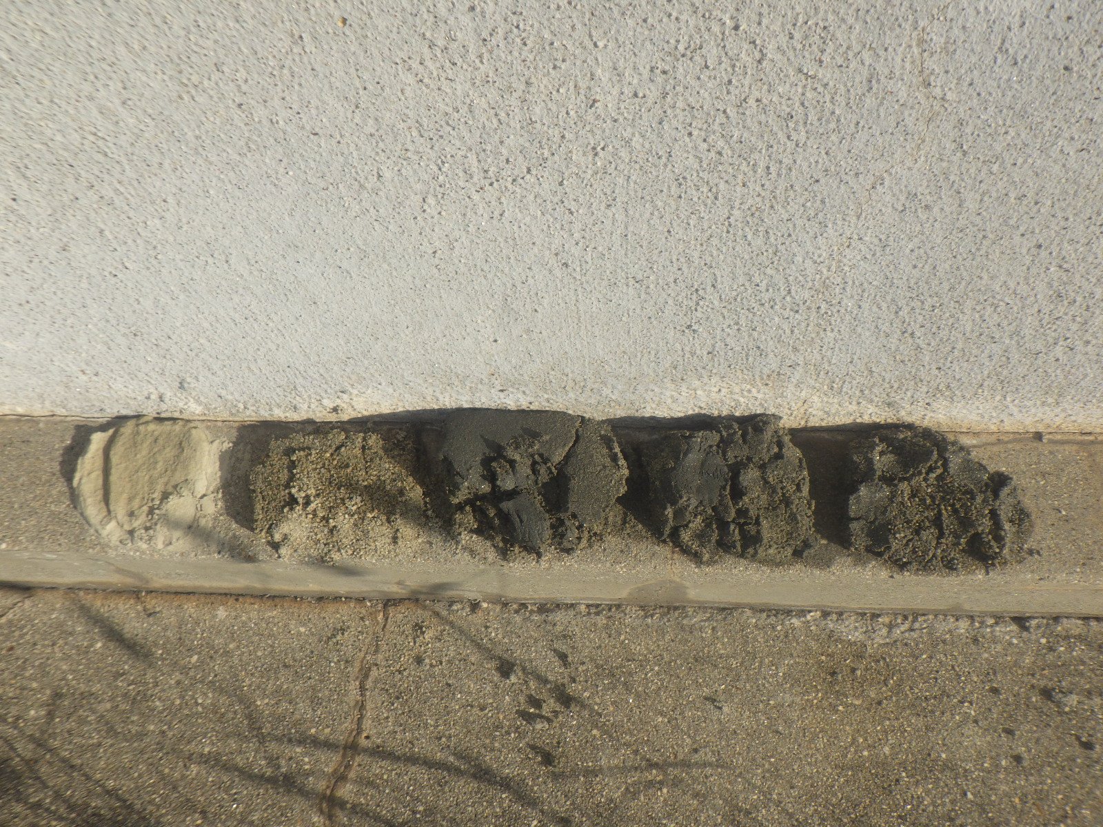 RIMG9104.JPG