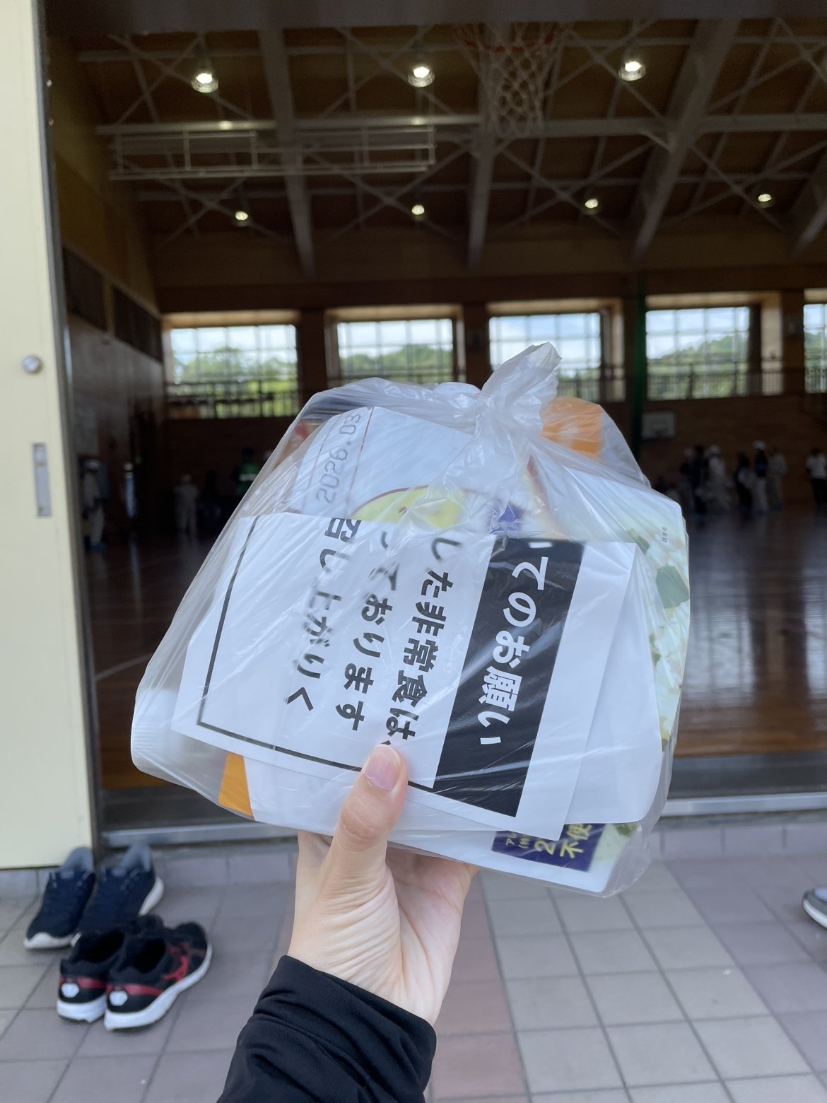 IMG_6704.jpeg