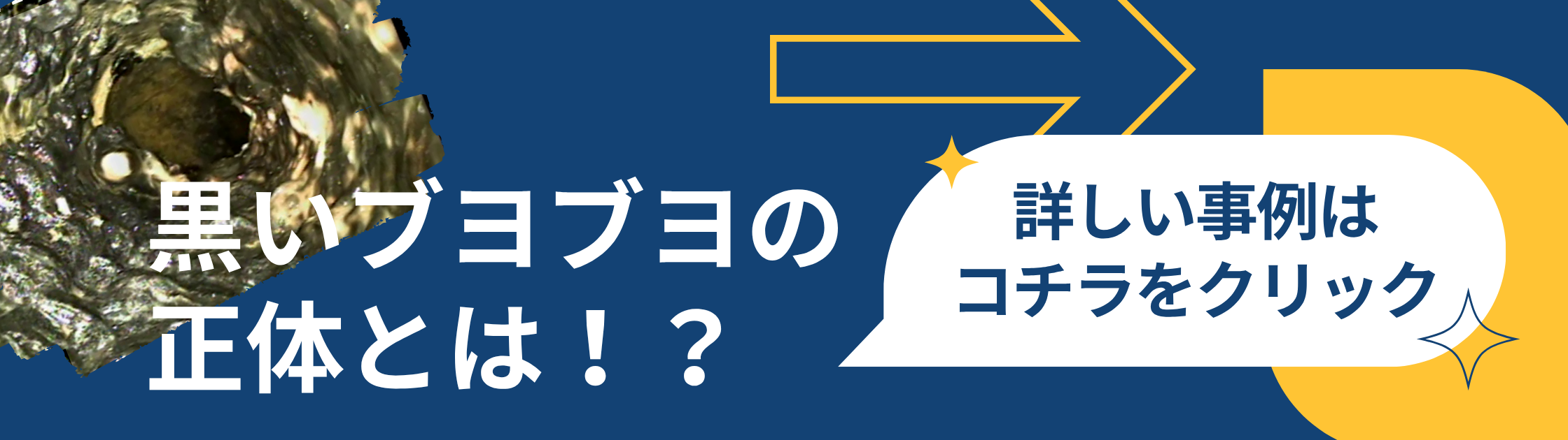 黒いブヨブヨの物体とは！？ (1).png